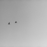 White Rock K1000 Tri X40032©JamesECockroft 20150110