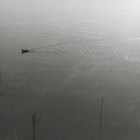 White Rock K1000 Tri X40036©JamesECockroft 20150110