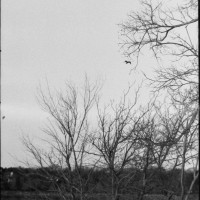 White Rock K1000 Tri X40037©JamesECockroft 20150110