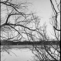 White Rock K1000 Tri X40038©JamesECockroft 20150110