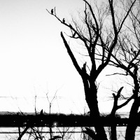 White Rock Lake Tri X29©JamesECockroft 20130404