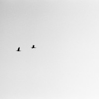 White Rock Lake Tri X30©JamesECockroft 20130405