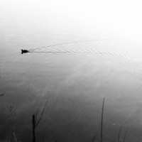 White Rock Lake Tri X34©JamesECockroft 20130405