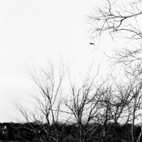 White Rock Lake Tri X35©JamesECockroft 20130405