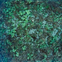 a small problem©JamesECockroft 20150228