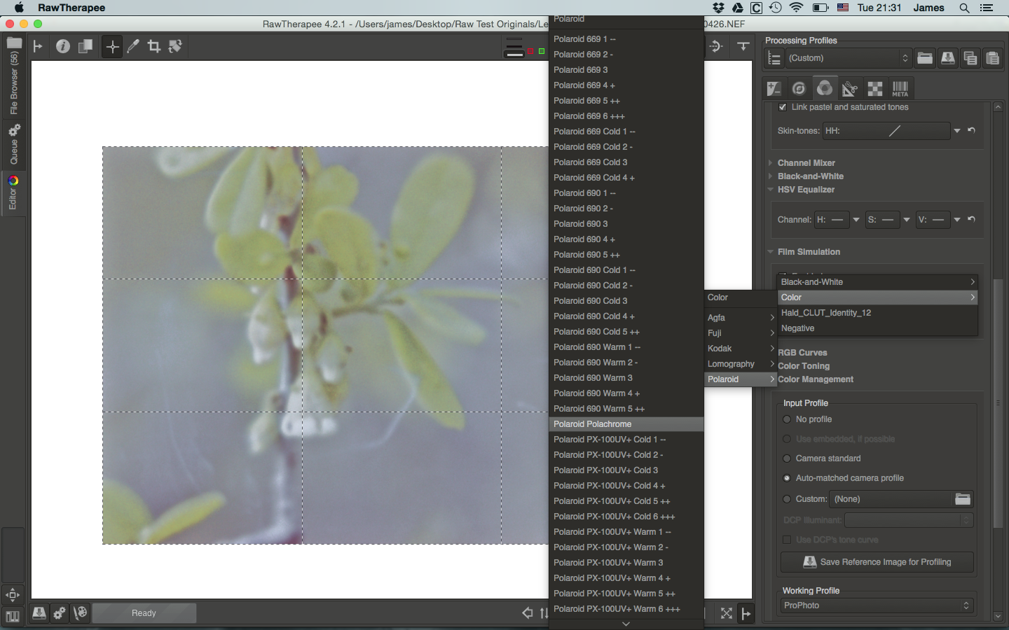 a small sample of film simulations
