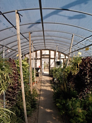 at the nursury before work 23 ©JamesECockroft 20150118 rpp