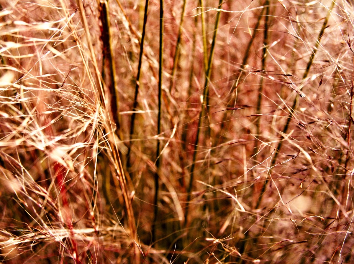 at the nursury before work 26 ©JamesECockroft 20150118