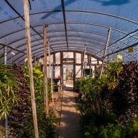 at the nursury before work23©JamesECockroft 20150118