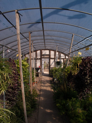 at the nursury before work23©JamesECockroft 20150118 Lightroom Import