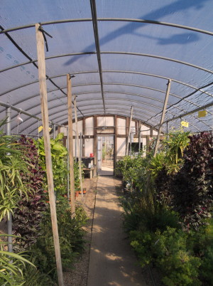 at the nursury before work23©JamesECockroft 20150118 as imported