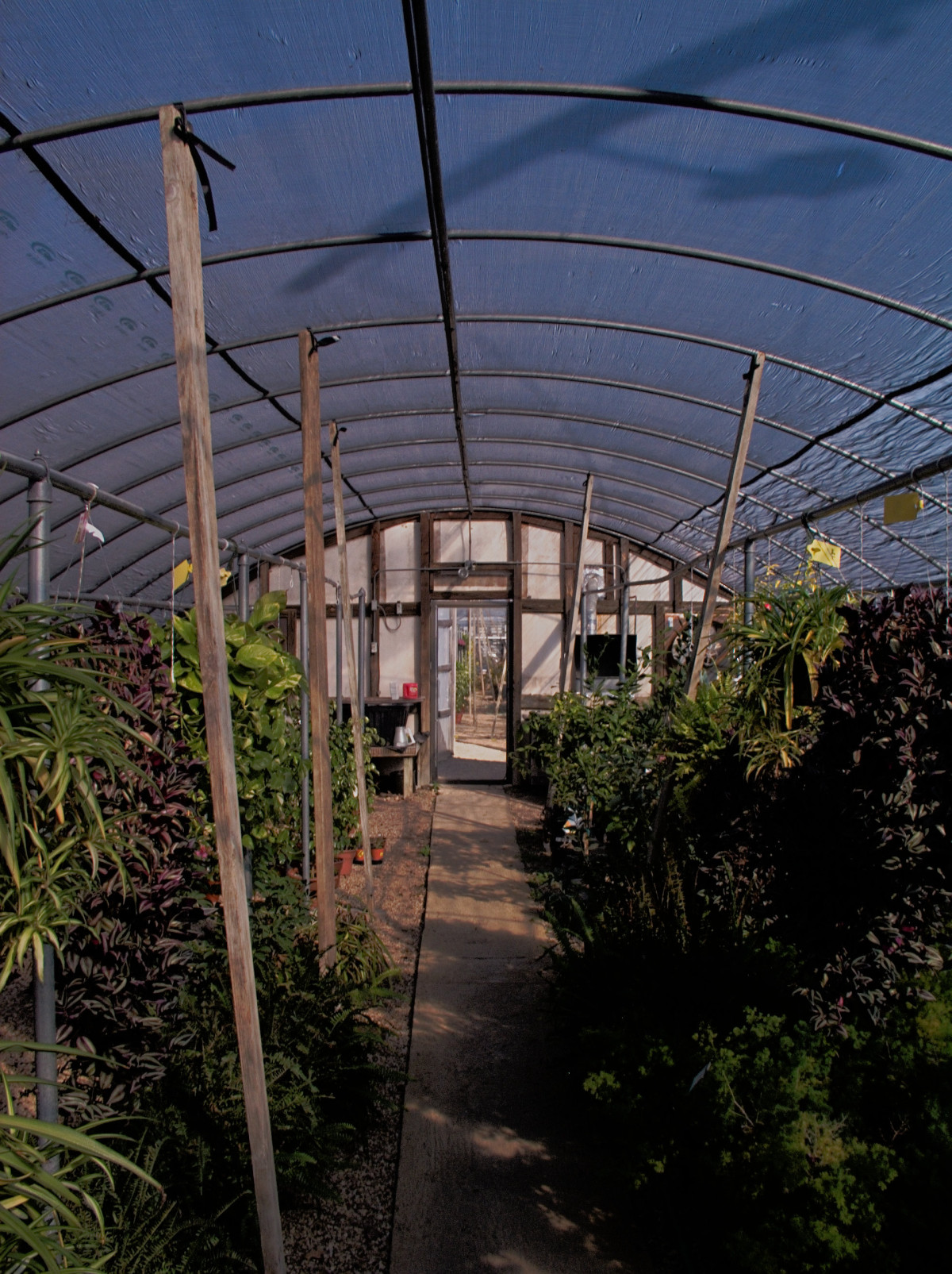 at the nursury before work23©JamesECockroft 20150118 lzn