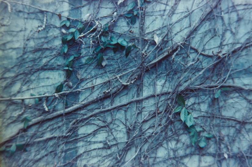 at work with the Petzval-1|©JamesECockroft-20150228