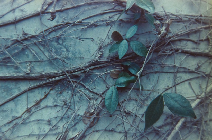 at work with the Petzval 2©JamesECockroft 20150228