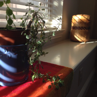 degradr processing 2