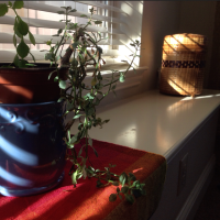 degradr processing done