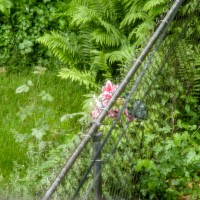 even hacks are sometimes capable of mediocrity1©JamesECockroft 20040510