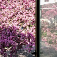 even hacks are sometimes capable of mediocrity2©JamesECockroft 20040418