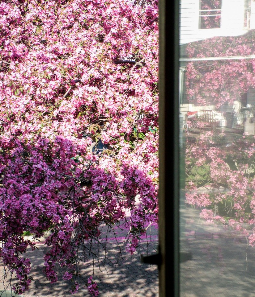 even hacks are sometimes capable of mediocrity|2|©JamesECockroft-20040418