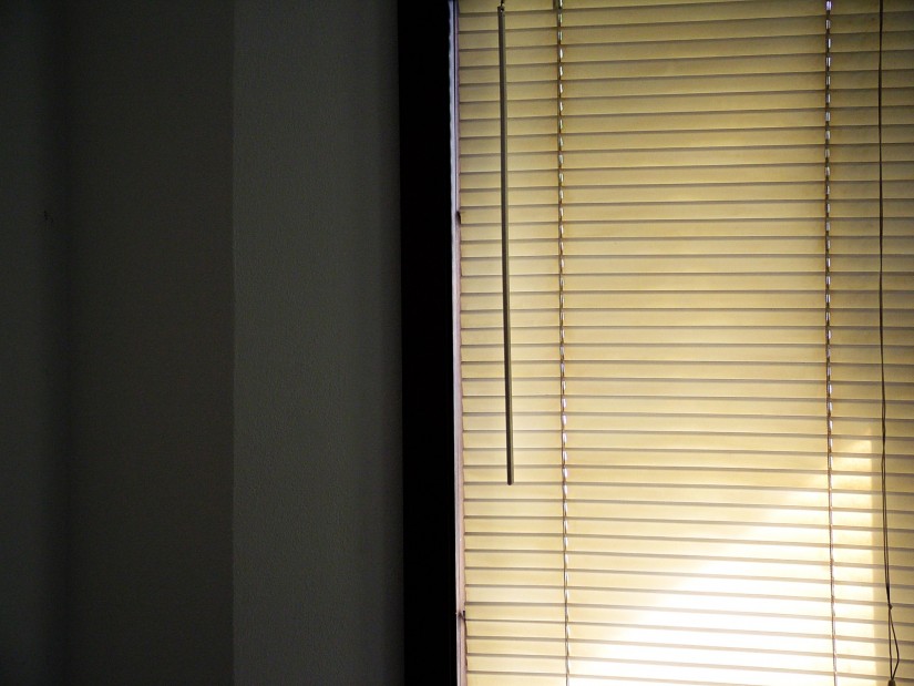 looks familiar1©JamesECockroft 20040622