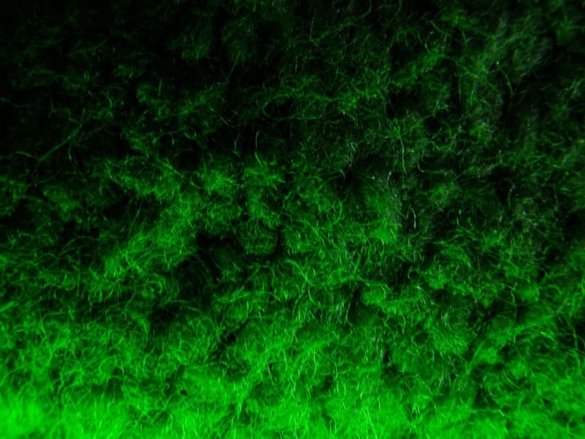 ohne titel1©JamesECockroft 20040430