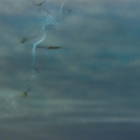 results of biting film©JamesECockroft 20150228