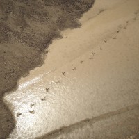 thirty six roll 69©JamesECockroft 20150425