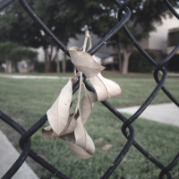 thirty six to and from19©JamesECockroft 20150430